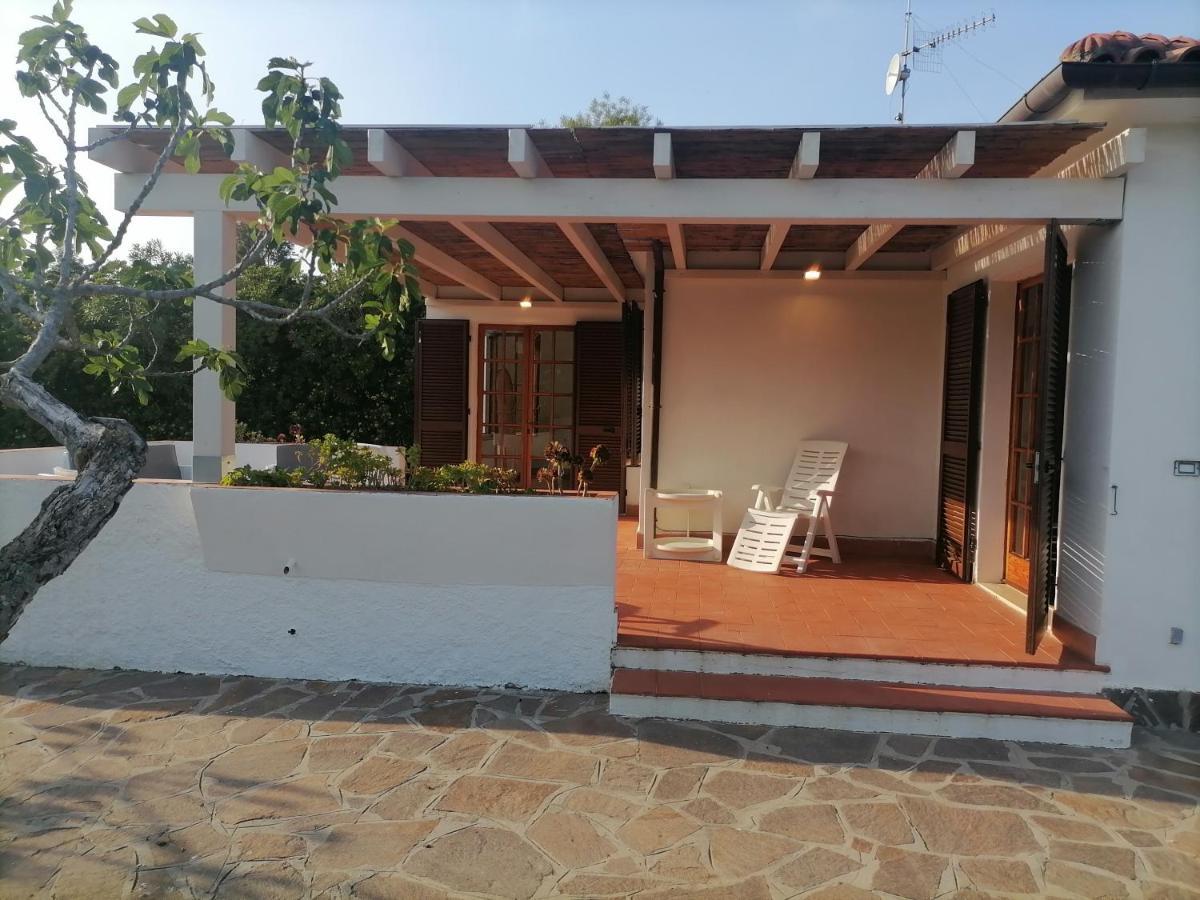 Le Palme Apartamento Capoliveri  Exterior foto