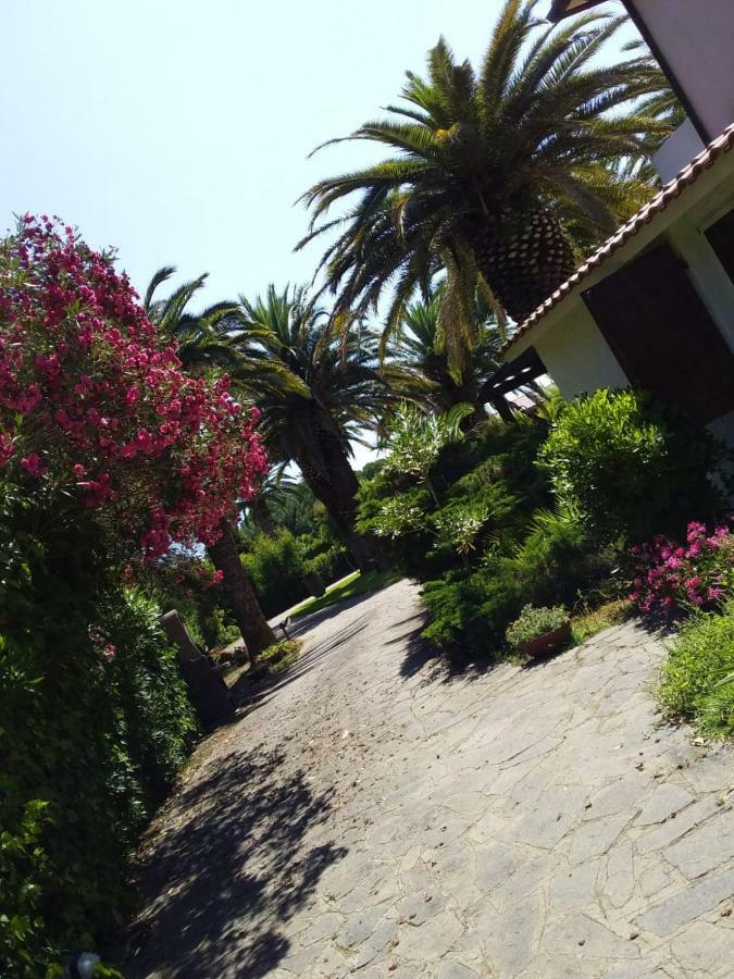 Le Palme Apartamento Capoliveri  Exterior foto