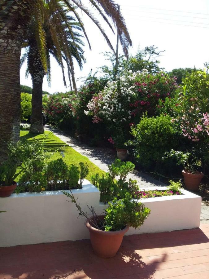 Le Palme Apartamento Capoliveri  Exterior foto